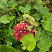 Little Realistic Frog Crochet Pattern